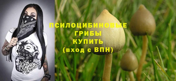 ECSTASY Абинск